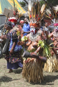 PAPUA Banner