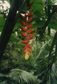 Perú Nature