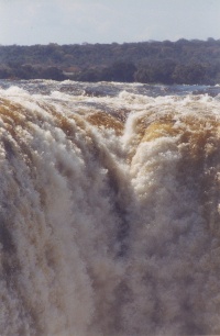 Victoria Falls Nature