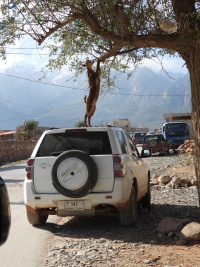 YEMEN PEOPLE Banner