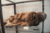 Mummy Atacama Desert Museo