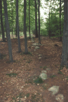 Array Menhirs Standing Stones