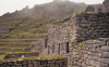 Farming Terraces Machu Picchu