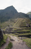 Farming Terraces Behind Machu