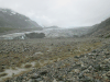 Reid Glacier