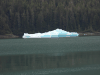 Iceberg Endicott Arm