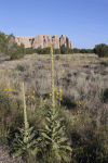 El Morro National Monument