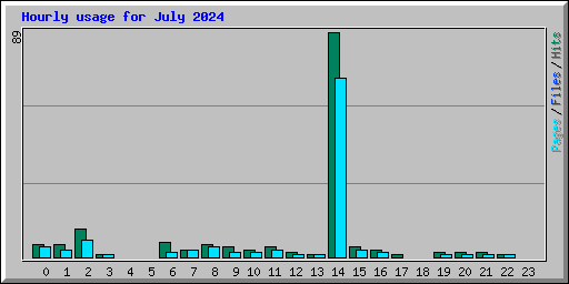 Hourly usage for July 2024